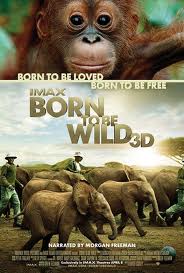 Born To Be Wild online español